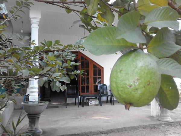 Aruliya Ayurveda Resort Galle