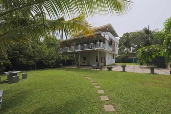 Morning guest can see momkeyies and birds