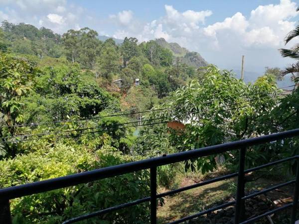 Tea Garden Holiday Inn