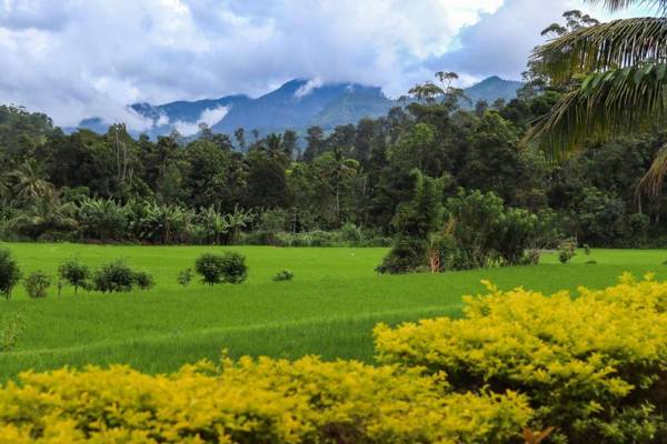 Nature valley homestay