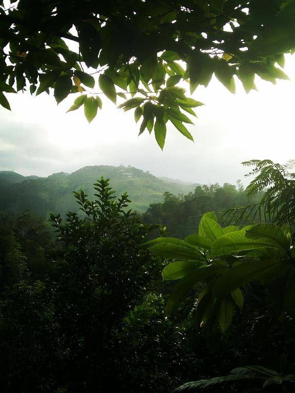 cool View Mohomad homestay