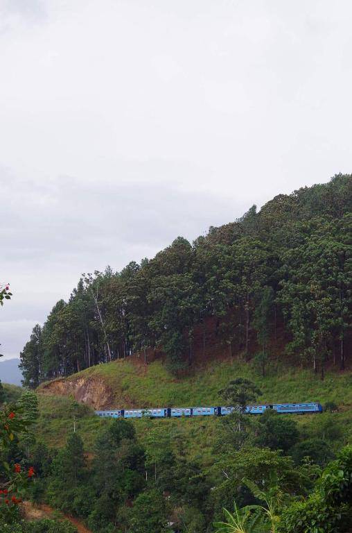 Ella Secret Paradise