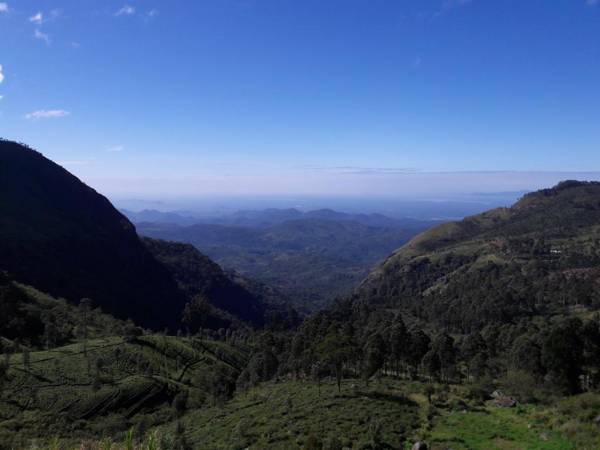 Ella Banana Rest Inn