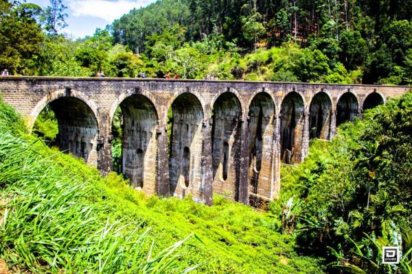 Nine Arch Jungle Inn