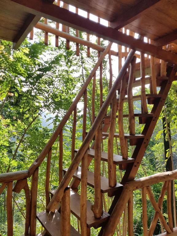 Arana Sri Lanka Eco Lodge and Yoga Center