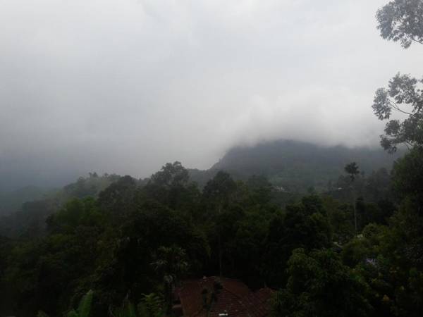 THE " ONEX PARADISE " ELLA