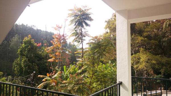 Misty Elegance - Ella.