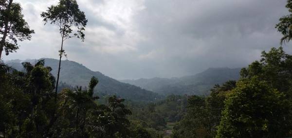 Hidden Slope Cottage