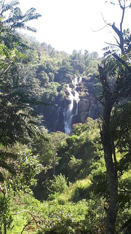 New Farmers Paradise