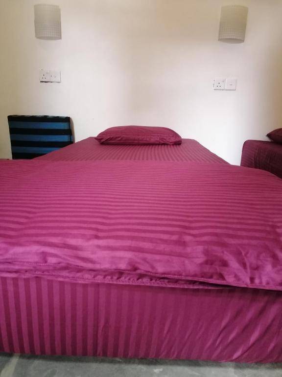 Tiki bar hostel ella