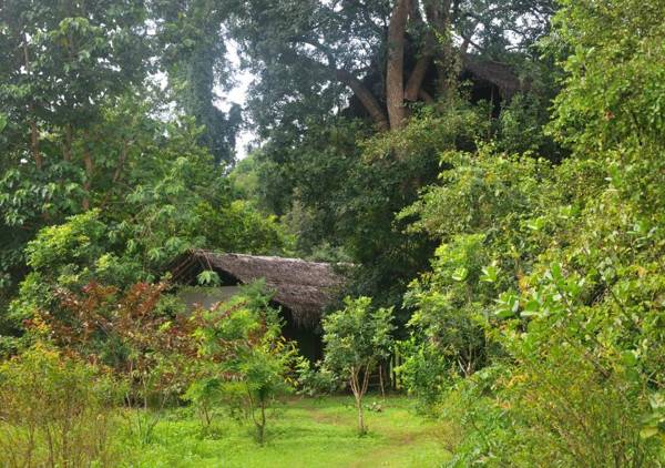 Back of Beyond - Wild Haven