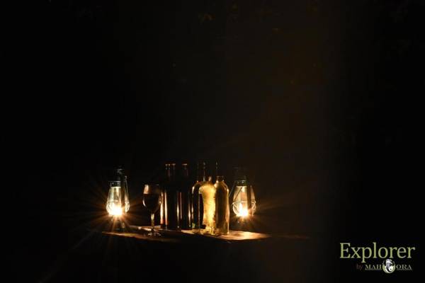 Explorer by Eco Team - Wasgamuwa National Park