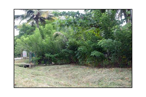 Sun and Green Eco Lodge - Dambulla