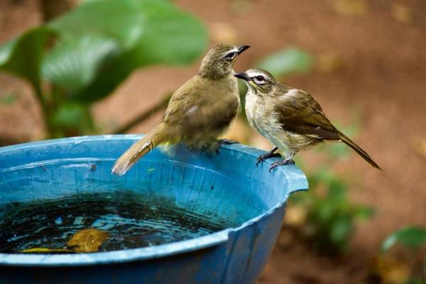 Hotel Hideaway Garage