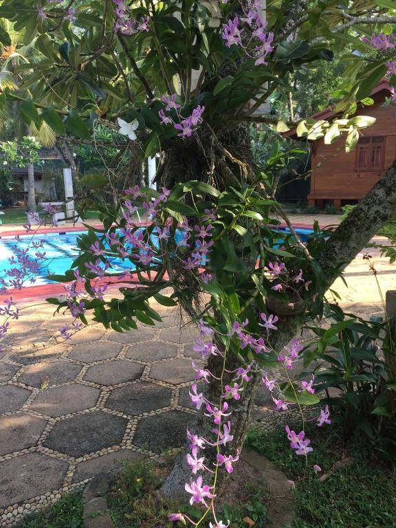 Ypsylon Tourist Resort