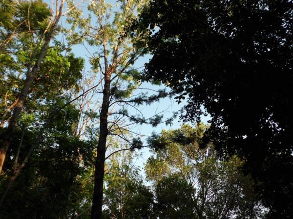 Green Valley Holiday Resort