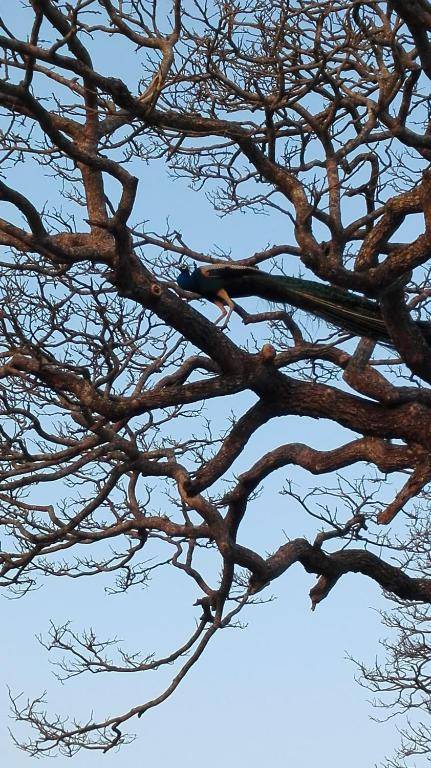 Sacred City Tourist Resort