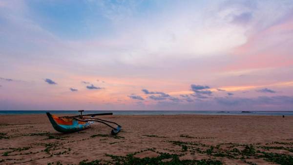 Blue Parrot Beach Villa