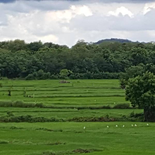 Mailagama Cinnamon Residence