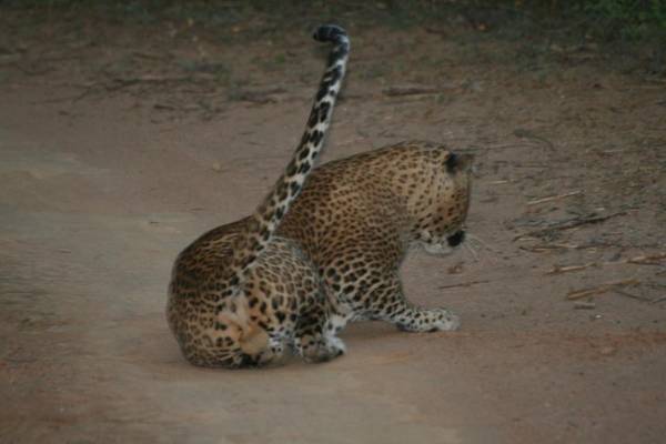 Flower Garden Lake Resort
