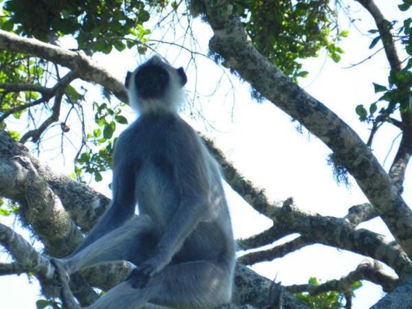 Traveller's Home Hotel