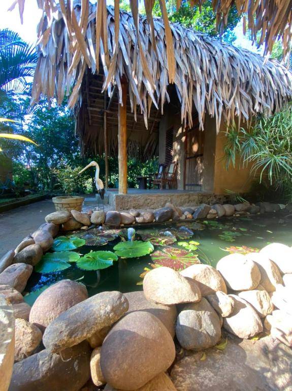 Private Organic House