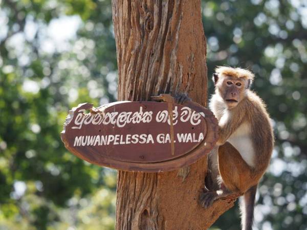 Private Organic House