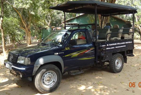 S and K Safari Village Hotel - Udawalawe