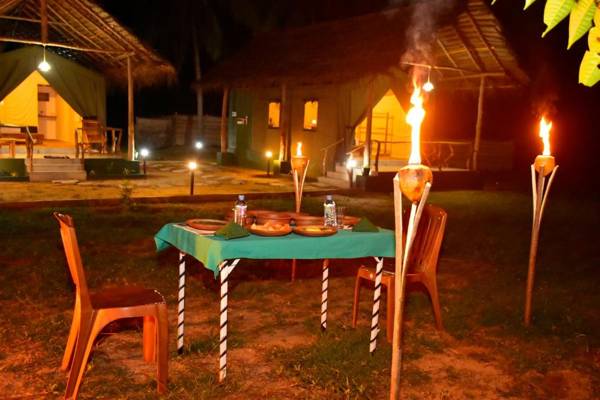 Jungle View River Camping