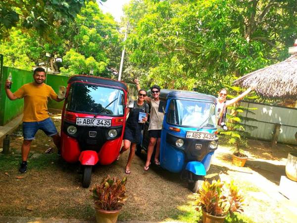 Elephant Paradise Safari Bungalow