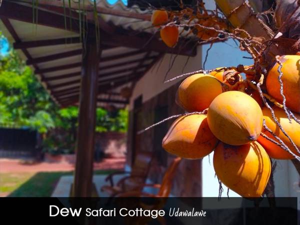 Dew Safari Cottage