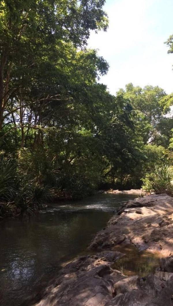 Dil Lanka Safari Resort