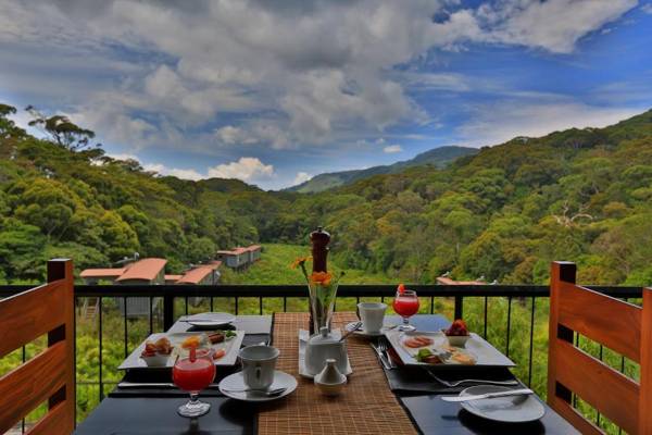 The Rainforest Ecolodge - Sinharaja
