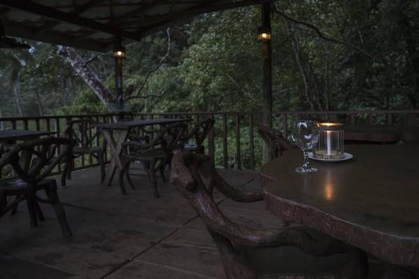 Explore Sinharaja Rain Forest Tour Camp All Inclusive