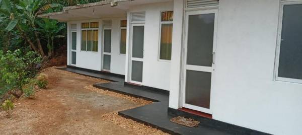 Rainforest Holiday Inn