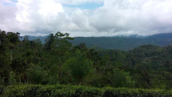 Southern Heritage Holiday Resort