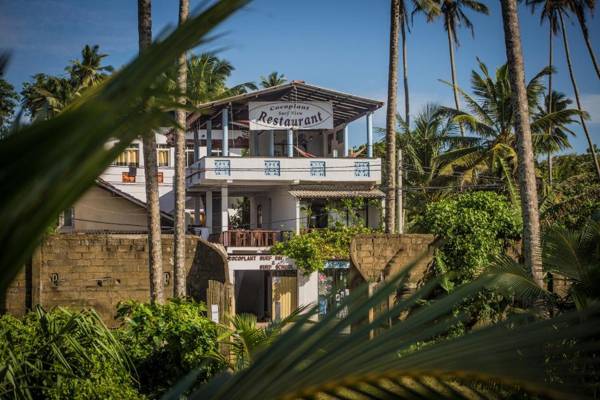Cocoplant Surf Inn