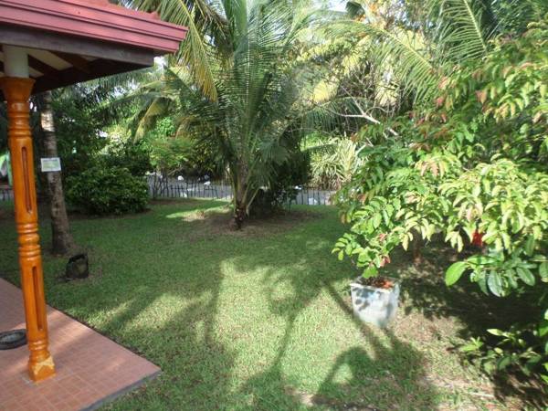 Hot Tuna Surfers Rest Midigama