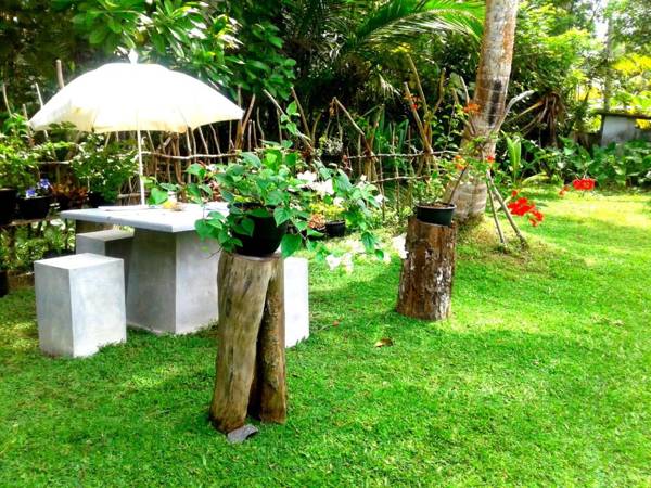 Coconut Grove - Midigama