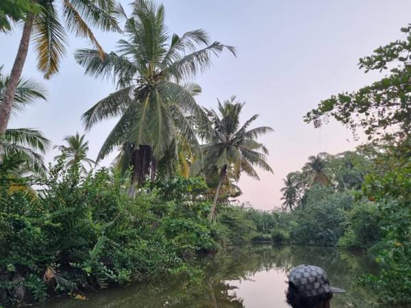 River island cabanas weligama