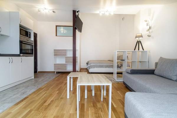 Vilnius Old Town Happiness