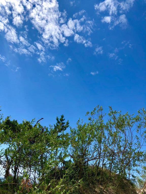 Vilatekila-Lili Apartments