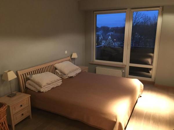 Central Druskininkai Apartment