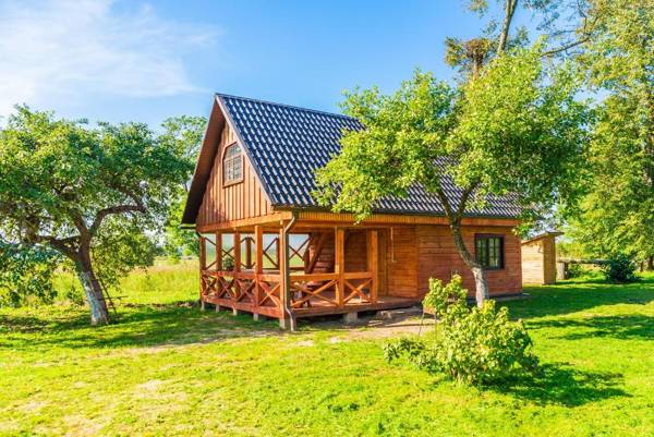 Bajāri - Sauna (Banya)