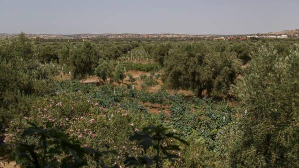 Ryad de Vignes " Le Val d'Argan "