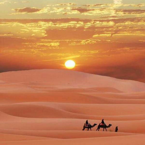 Desert Sahara Luxury Camp