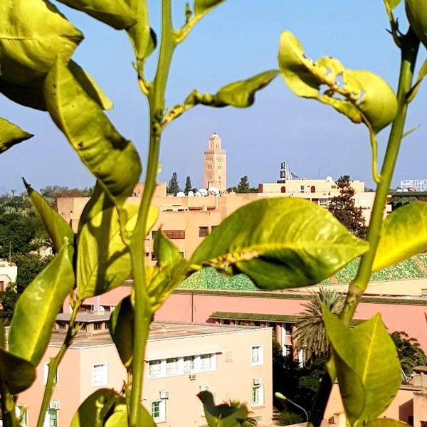 Dellarosa Boutique Hotel and Spa