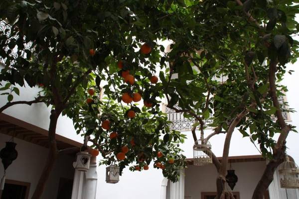 Riad Les Orangers D'alilia