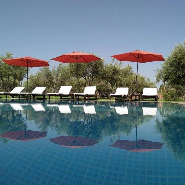 Le Diamant de Zaraba Et Spa