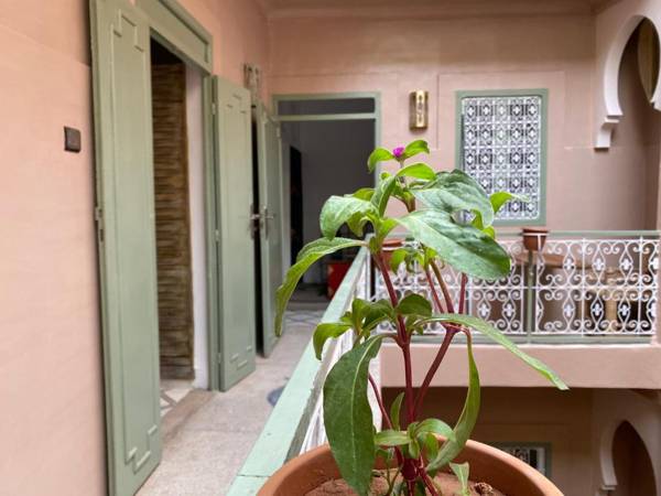 Riad Green Vines